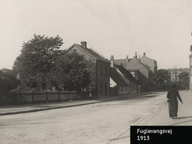 Fuglevangsvej set mod Bülowsvej september 1913.jpg